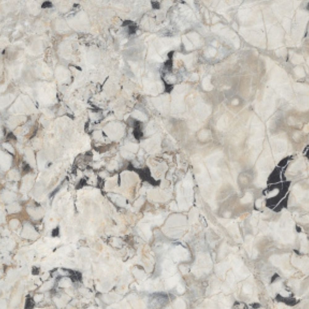 LEOPARD GRIS